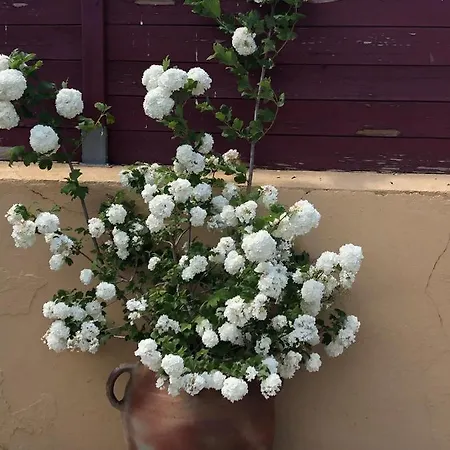 Horizon Casa vacanze *