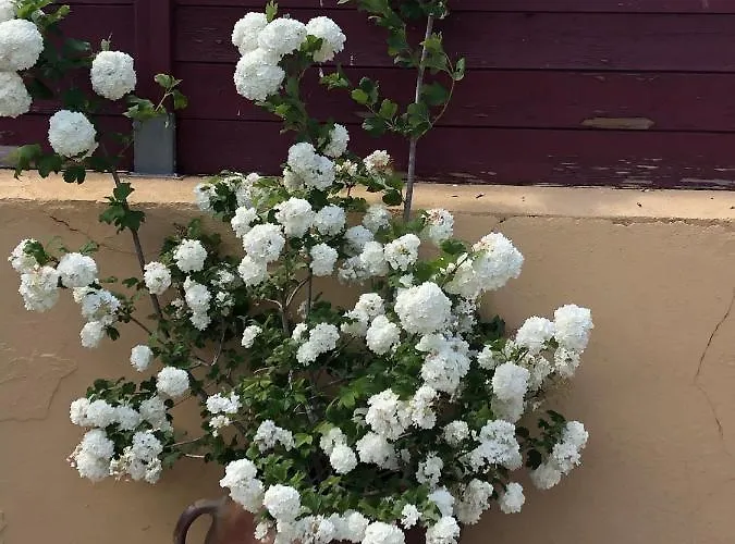 Horizon Ferienhaus *